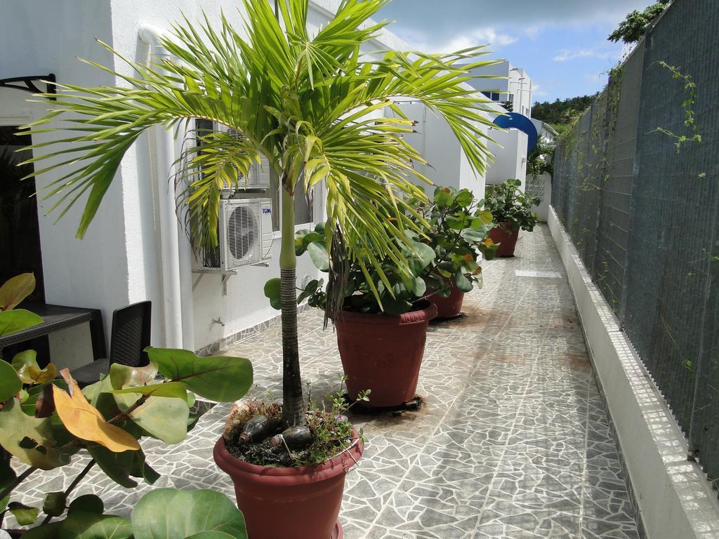 Casa Loft 호텔 San Andrés 외부 사진